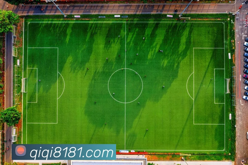 开云app平台生态图